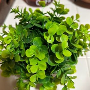 Meet your Posher, Ana